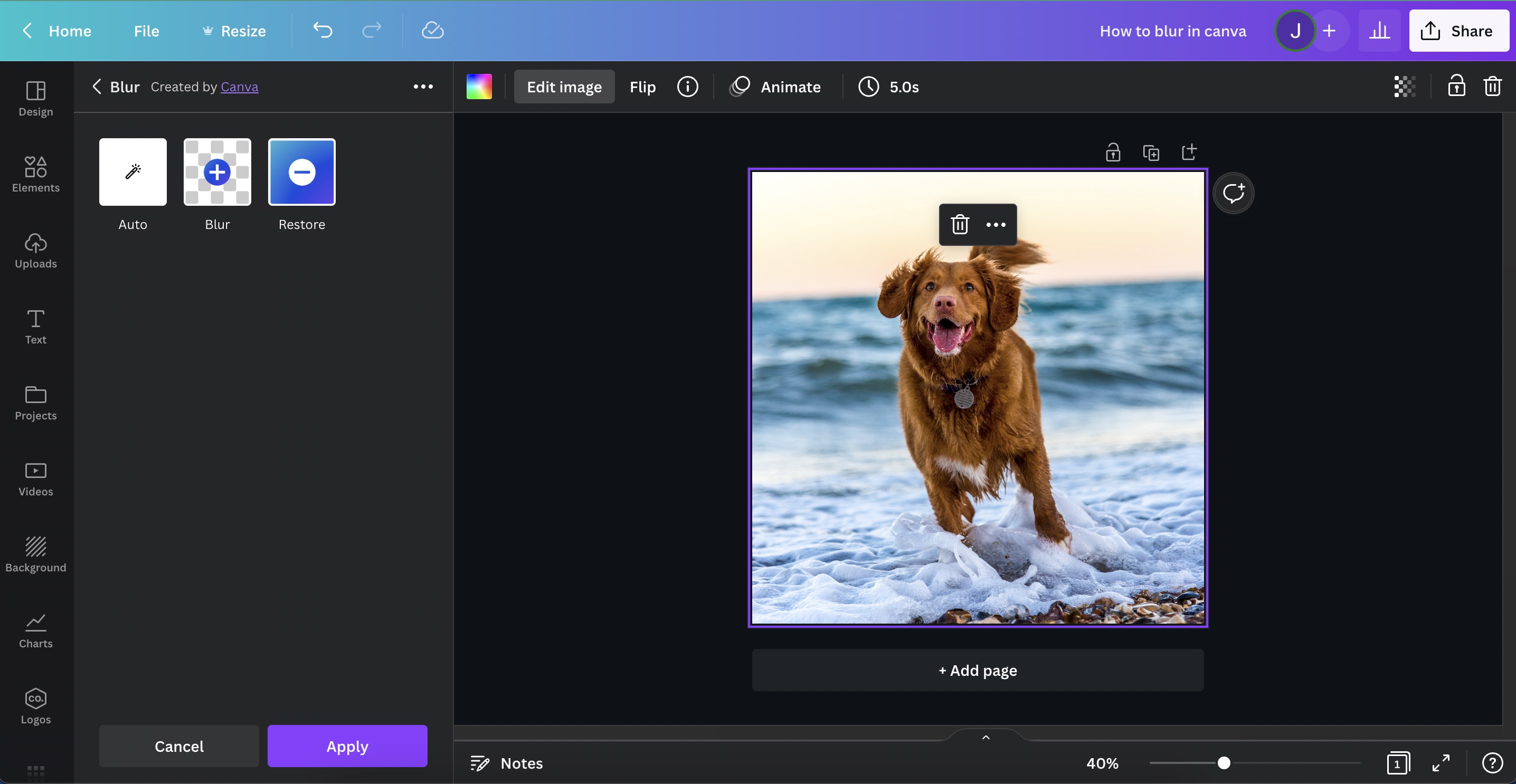 How to Blur in Canva Photos, Texts, & Backgrounds Xenyo